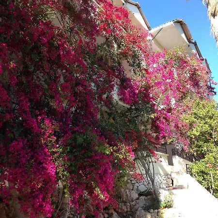 Pataros Hotel 2*